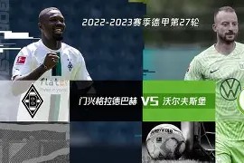 九州体育官方网站-关于沃尔夫斯堡主帅公开表态，力争本赛季取得佳绩的信息