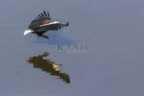 九州体育官方网站-桑德兰主场大胜埃弗顿,逐渐脱离降级区了吗