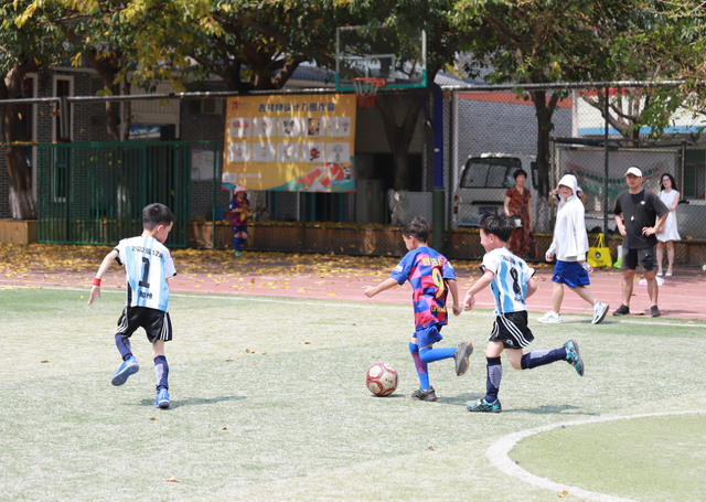 关于足球运动员康复训练有声有色，回归赛场靓丽再现的信息