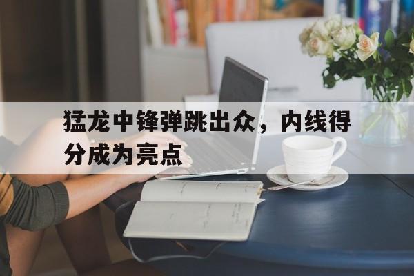 猛龙中锋弹跳出众，内线得分成为亮点的简单介绍