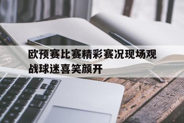 欧预赛比赛精彩赛况现场观战球迷喜笑颜开(欧预赛赛程2020小组赛)